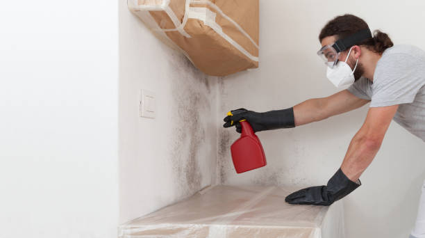 Professional Attic Mold Remediation technician working in Deer Park, IL