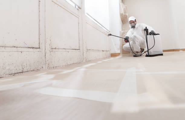24/7 Emergency Attic Mold Remediation experts in Deer Park, IL